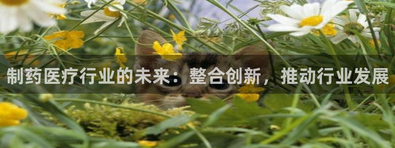 门徒娱乐下载