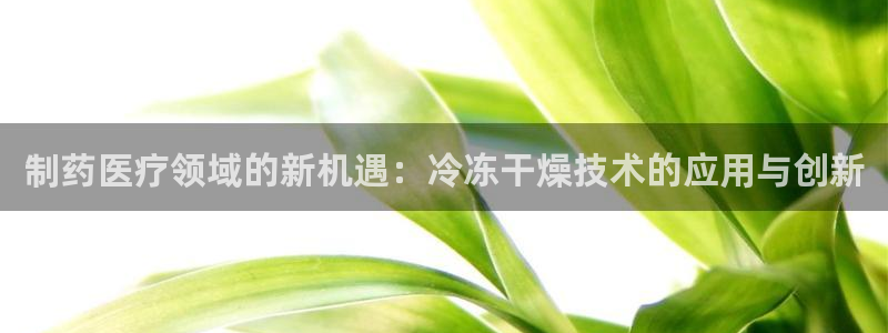 白云生 娱乐门徒