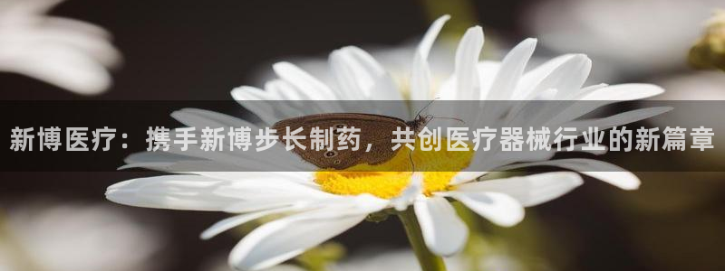 门徒娱乐网页版官网登录
