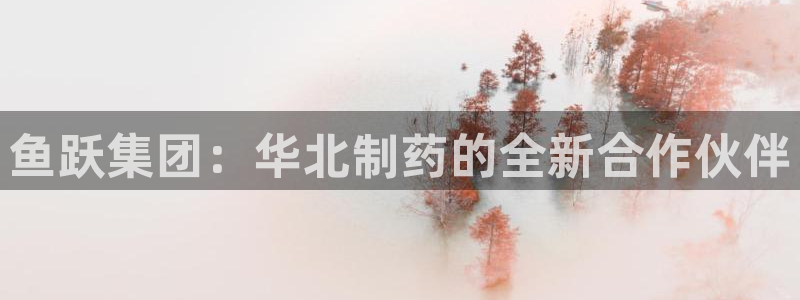 门徒娱乐官网登录不了吗