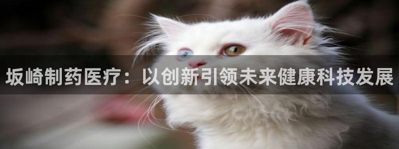 网易娱乐门徒