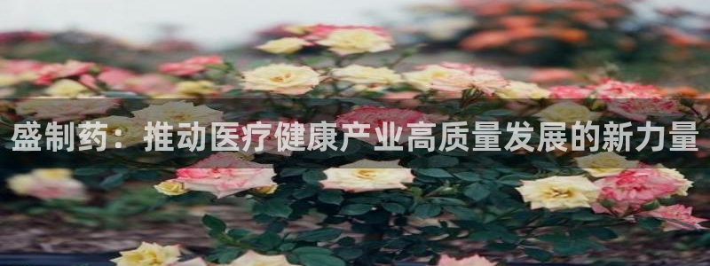 门徒娱乐线路怎么走的