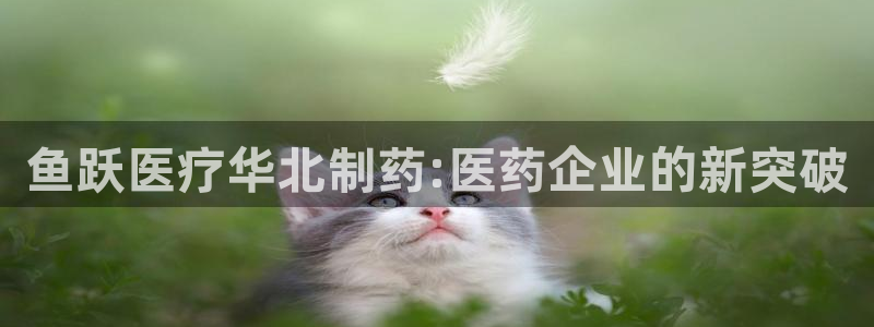 门徒娱乐系列有哪些剧目