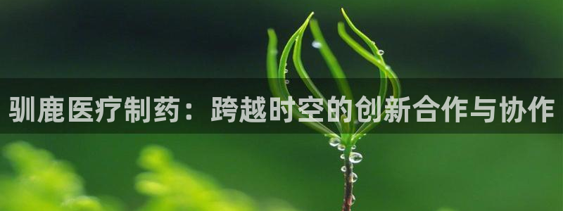 门徒娱乐的客服服务