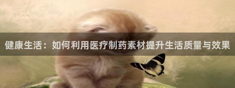 门徒娱乐加主管39977l6