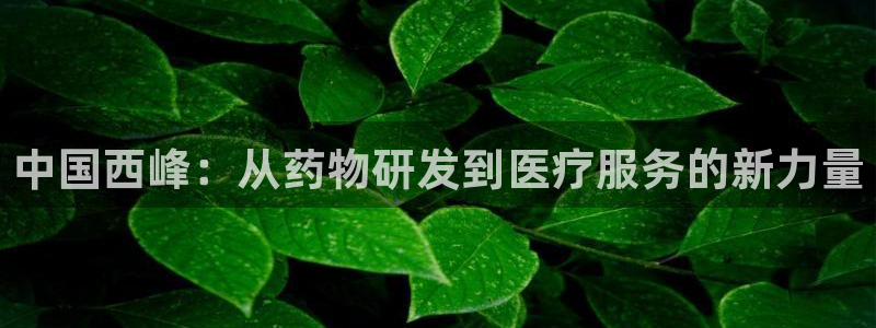 门徒娱乐真的能赚钱吗