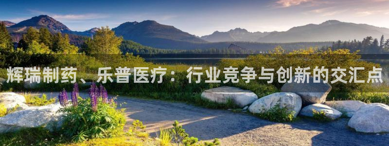门徒娱乐总代理电话号码是多少