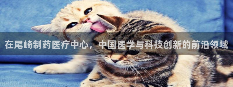 门徒娱乐在线链接