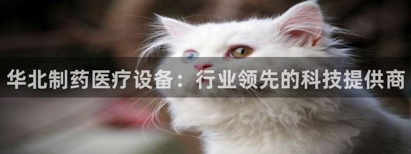门徒娱乐是