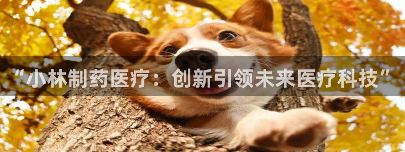 门徒娱乐足球