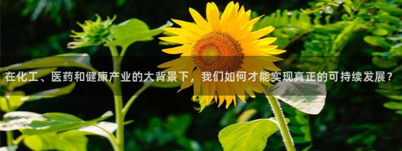 门徒娱乐怎么挂机不掉线