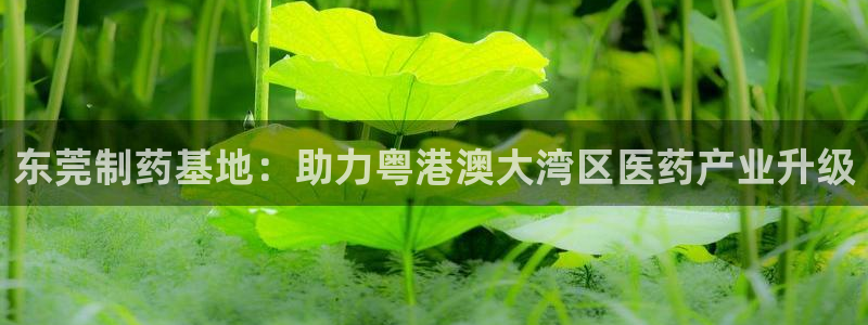 门徒娱乐地5指尖