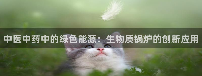 门徒娱乐注册在唐老鸭779O3