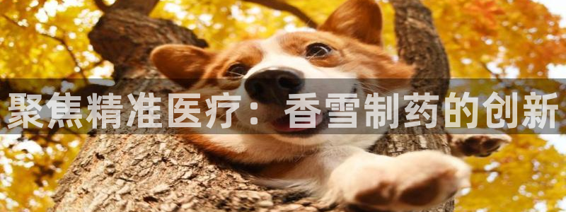 门徒娱乐的产品介绍