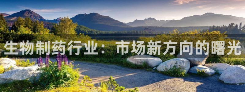 蓝狮和门徒娱乐