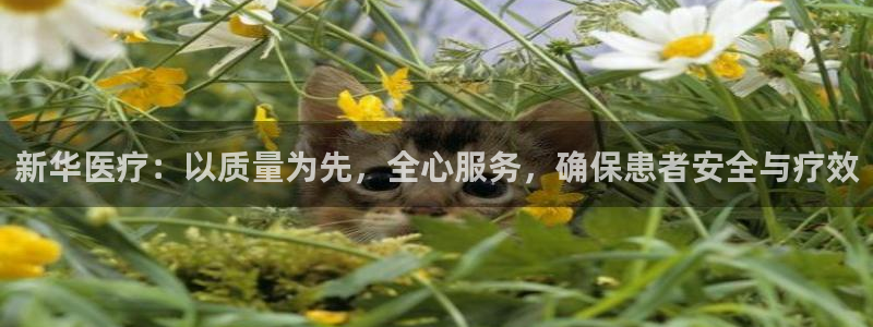 门徒娱乐注册成判官333OO