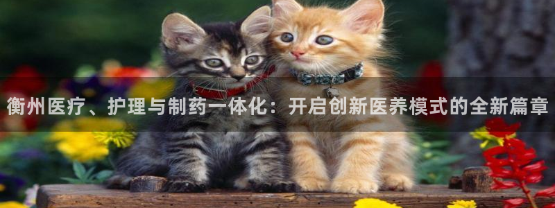 门徒娱乐大爆料视频