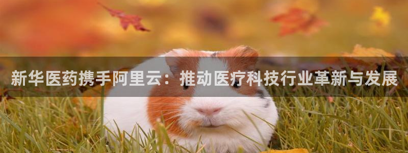 娱乐门徒类似小说网