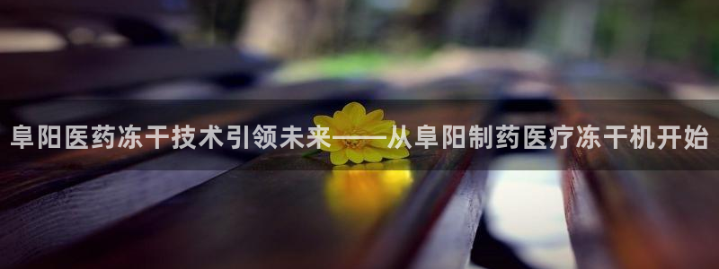 门徒娱乐链接是什么东西