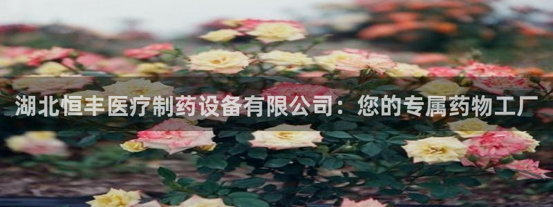 门徒娱乐什么平台可以看