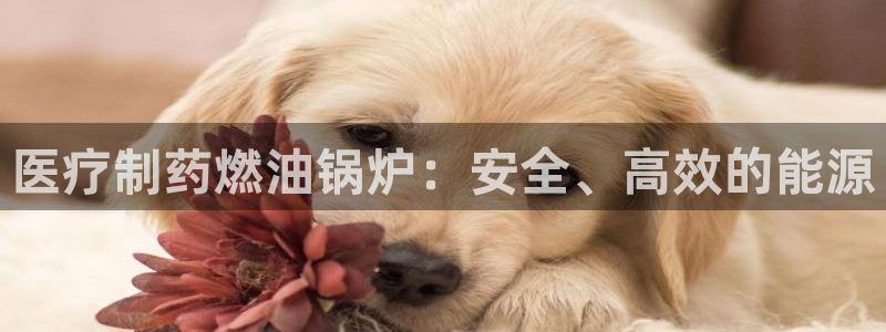门徒娱乐日5指尖