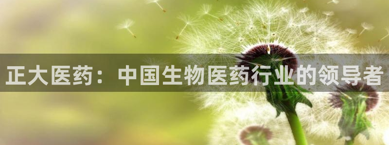 娱乐门徒电影海报