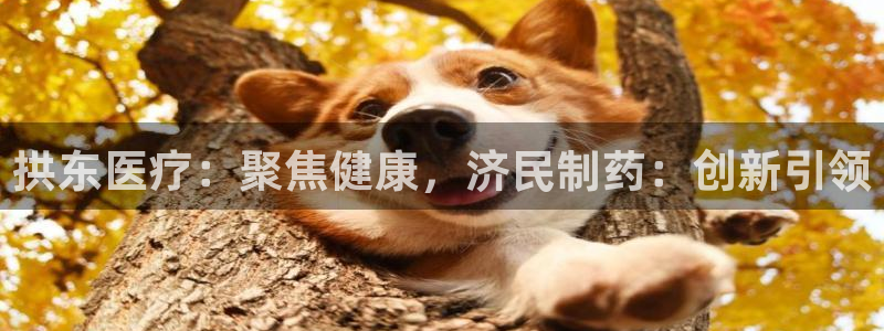 类似娱乐门徒这种的小说
