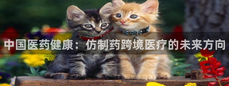 门徒娱乐平台怎么样