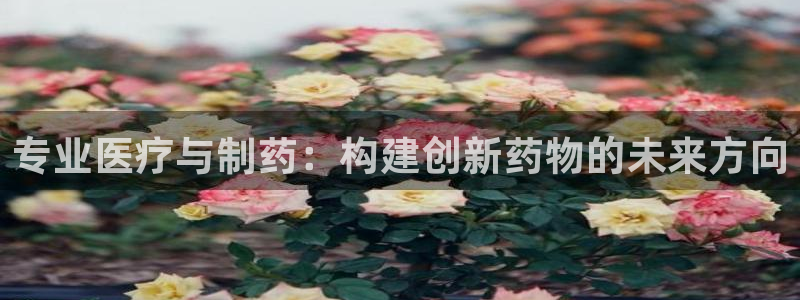 门徒娱乐是大平台吗知乎