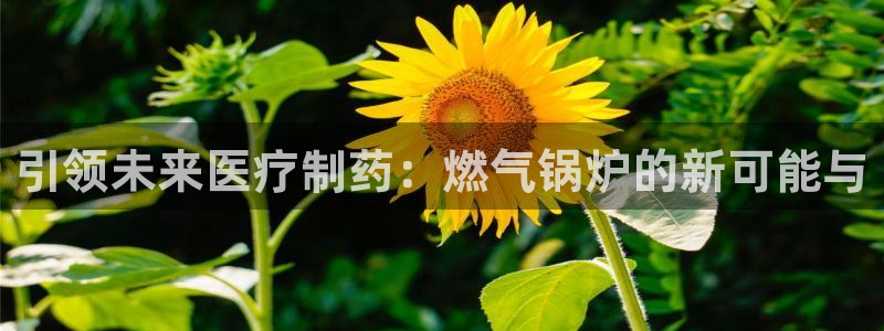 门徒娱乐网站在线观看