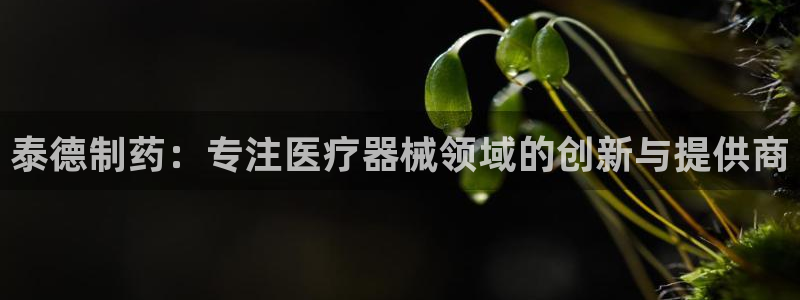 门徒娱乐官方网站地址在哪