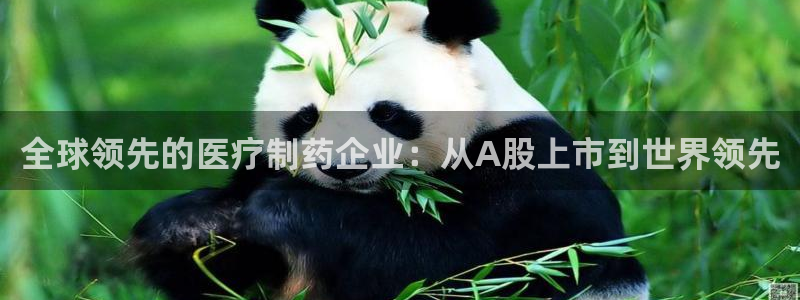 门徒娱乐是不是跑路了