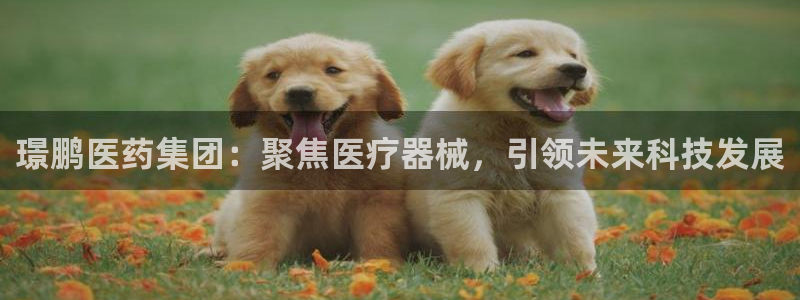 门徒地址娱乐