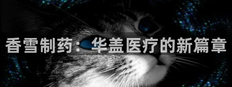 门徒娱乐平台安装教程