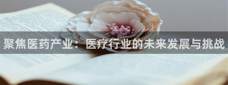 门徒娱乐属于哪个系列
