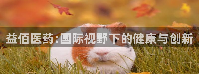 门徒娱乐注册原判官333OO