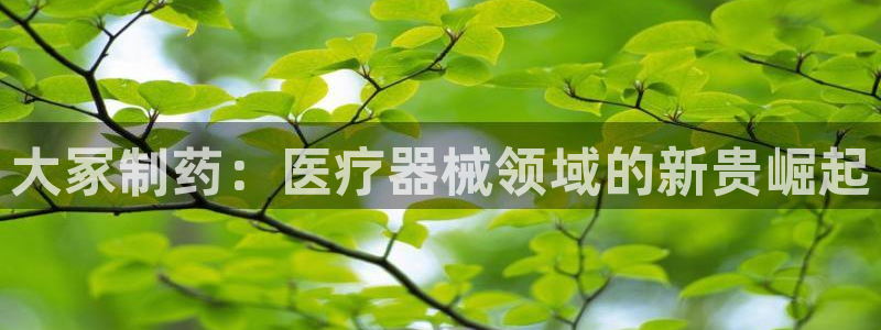 门徒娱乐在线链接网址