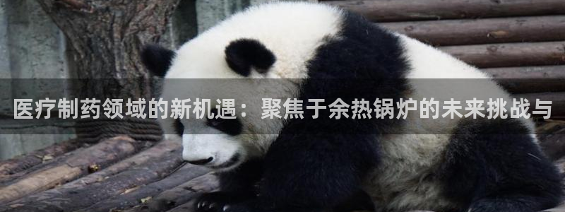 门徒彩票娱乐用户评价表