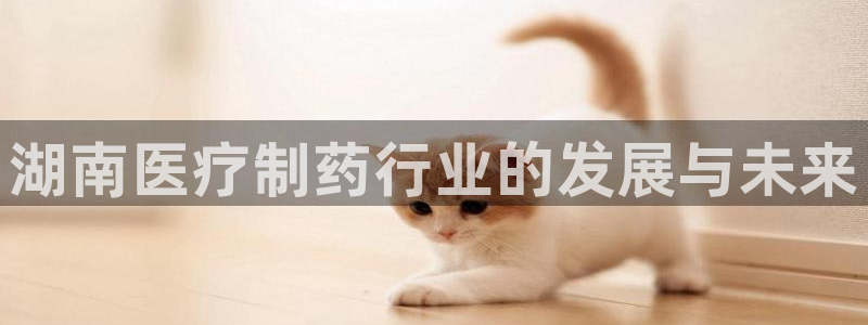 门徒娱乐老板是谁呀