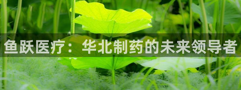 门徒娱乐注册下载安卓版