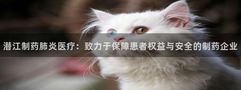 门徒娱乐圈主管