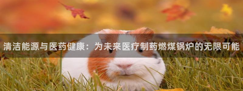 门徒娱乐是个什么平台啊