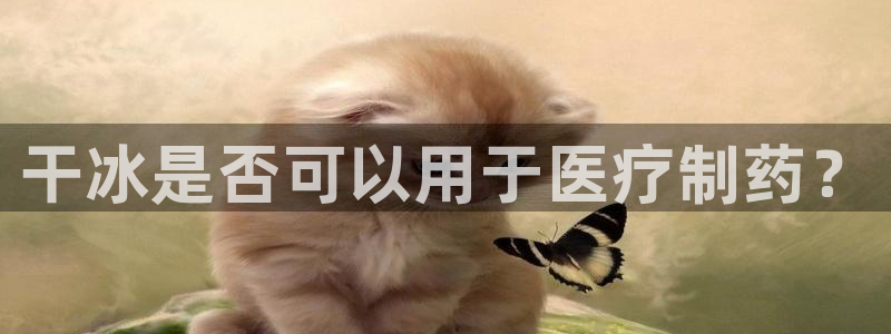 门徒娱乐注册下载安卓