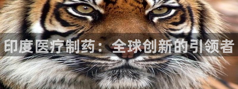 门徒娱乐主管里去判官333OO