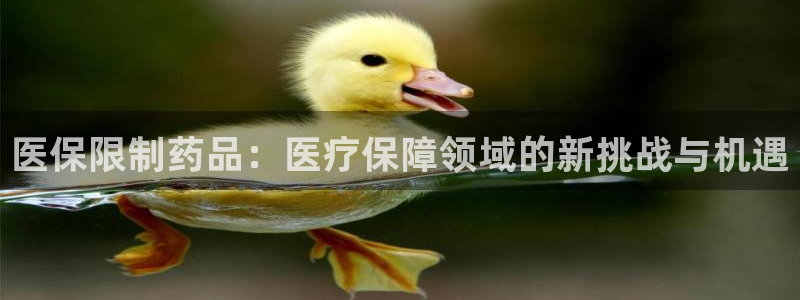 娱乐门徒女主角