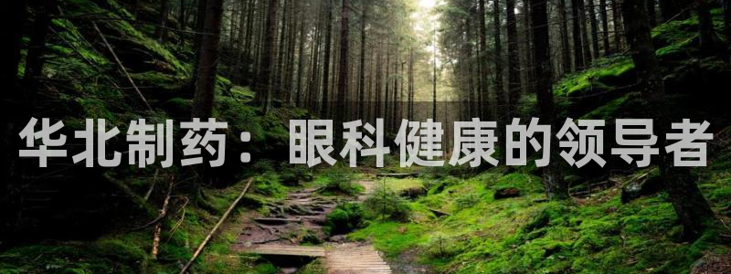 门徒娱乐是干啥的呀