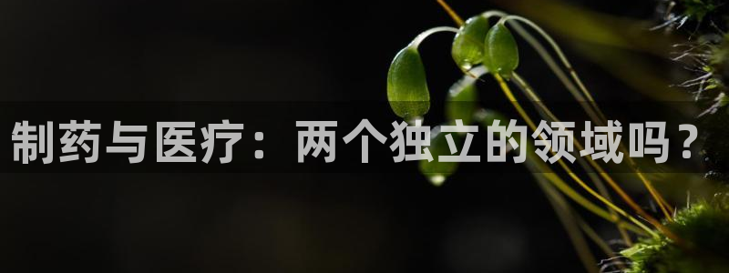 门徒娱乐账号注册教程